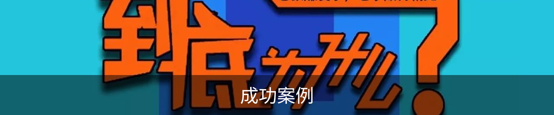 成功案例